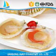 New Arrival Frozen 10-12CM Half Shell Sea Scallops